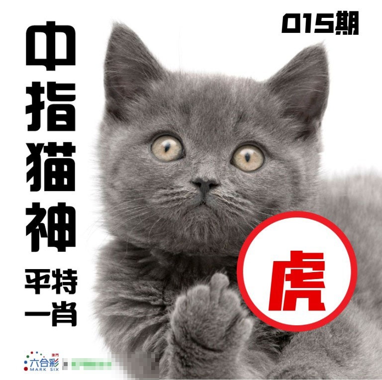 015期中指猫神[图]