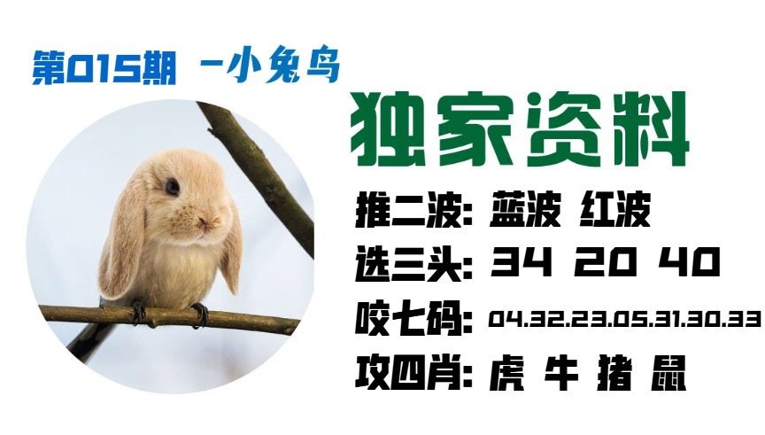 015期小兔鸟[图]
